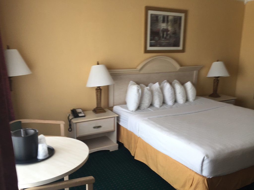 ווינטר הייבן Quality Inn & Suites Conference Center מראה חיצוני תמונה